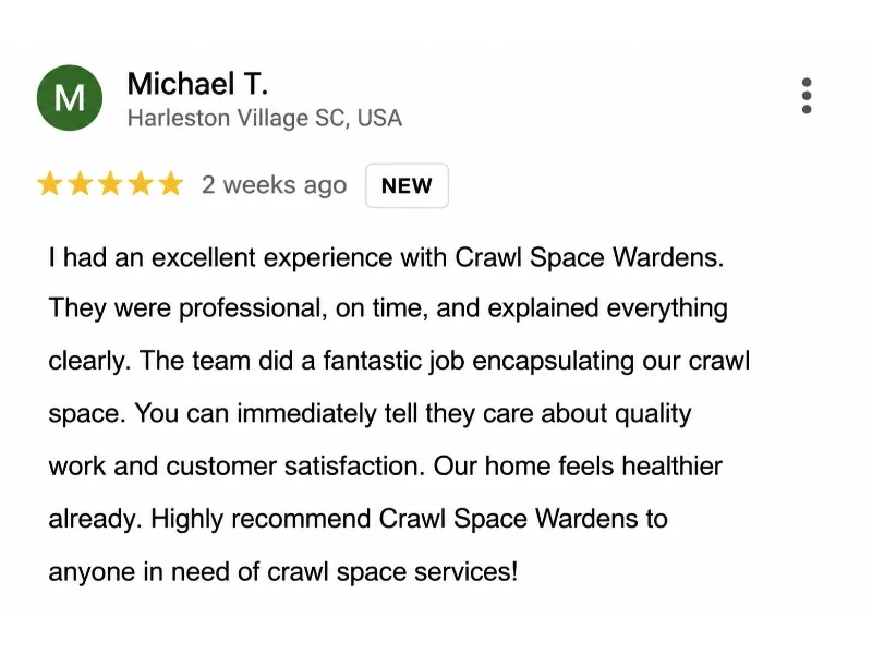 Five-star Google review from Michael T. in Harleston Village, SC praising Crawl Space Wardens encapsulation work