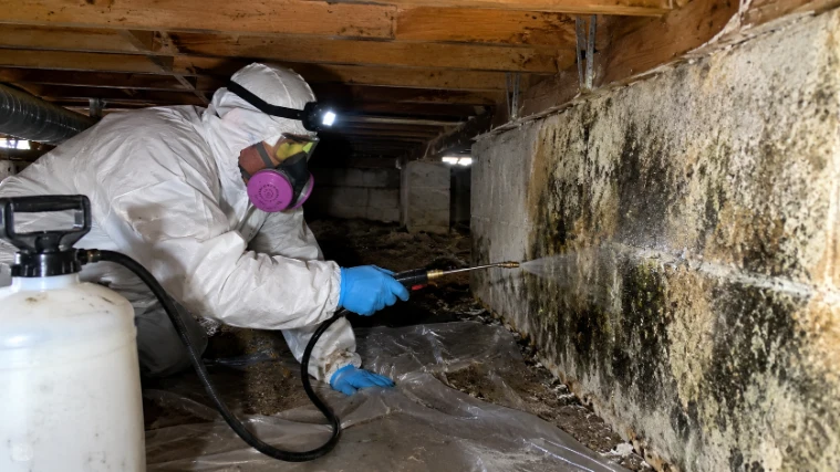 Crawl space mold remediation in Charleston SC